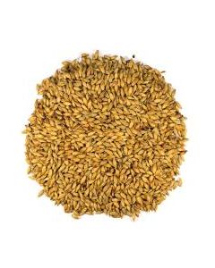 Slad Aromatic MD™/Amber MD™