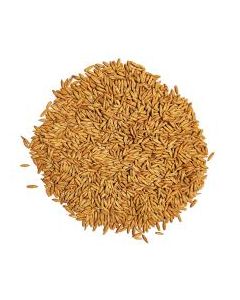 Slad Oat (ovseni) MD™