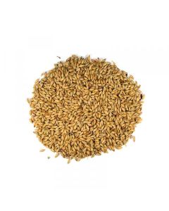 Slad Aroma 100 MD™