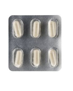 Hranilo za pivovarske kvasovke Lallemand Servomyces D50, 6x20l