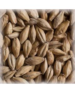Slad CHÂTEAU Distilling (Castle Malting) , 25kg